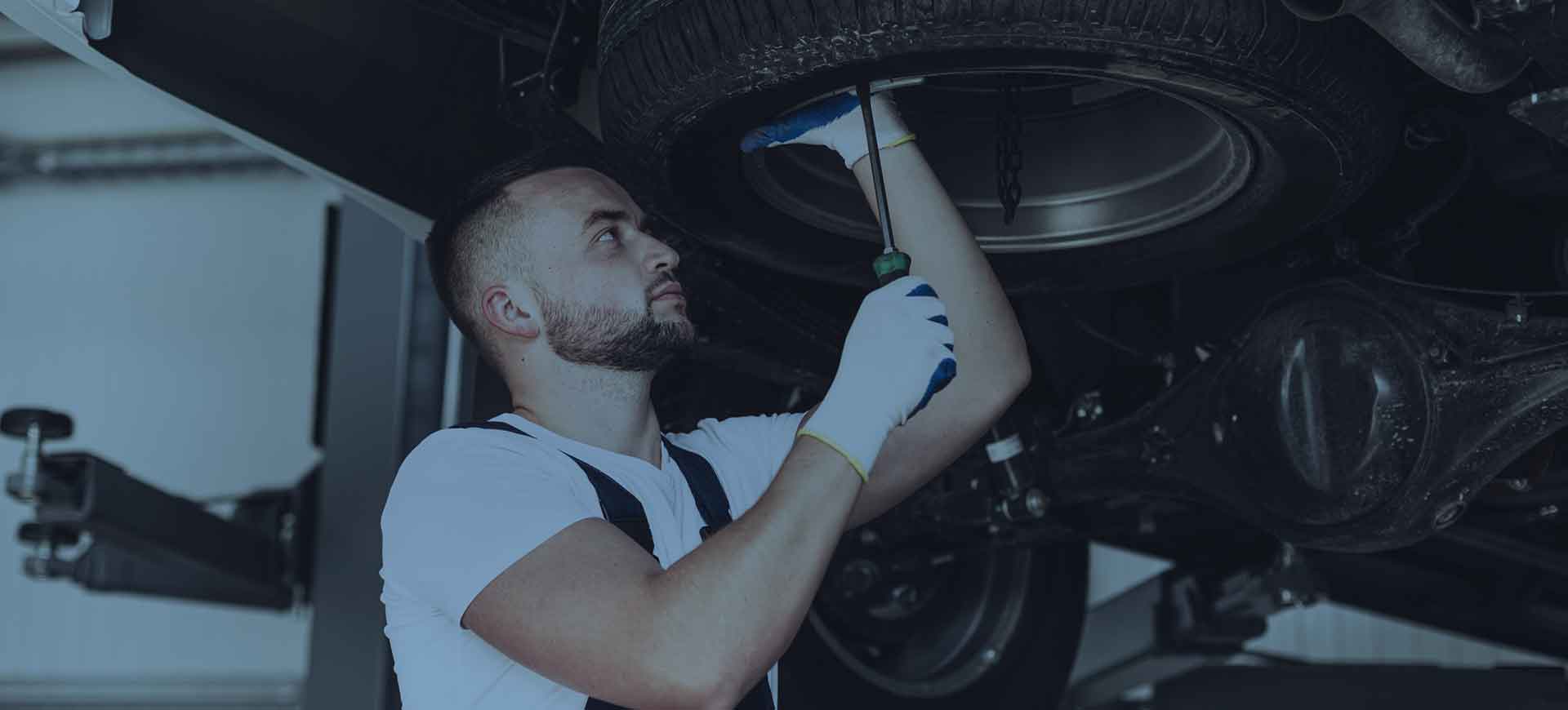 Auto Centar Pigeon